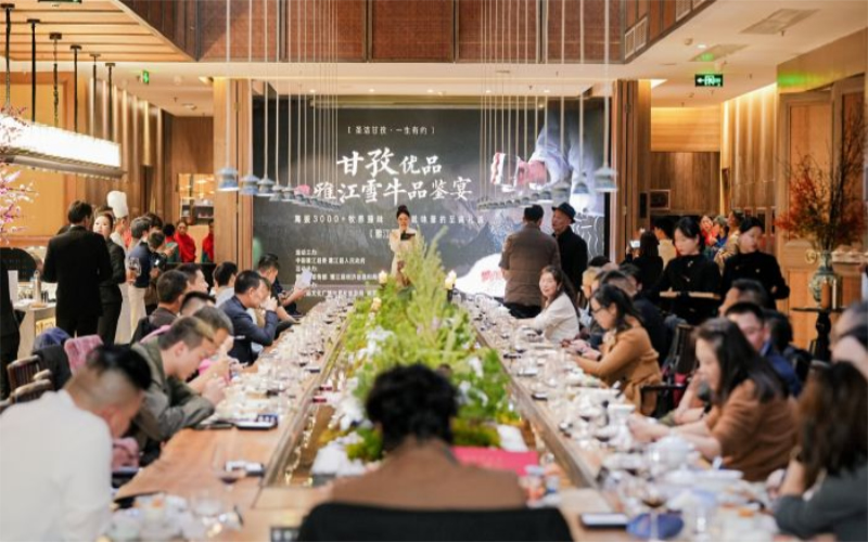 科技育良种 雅江雪牛赋能甘孜“后备箱经济”