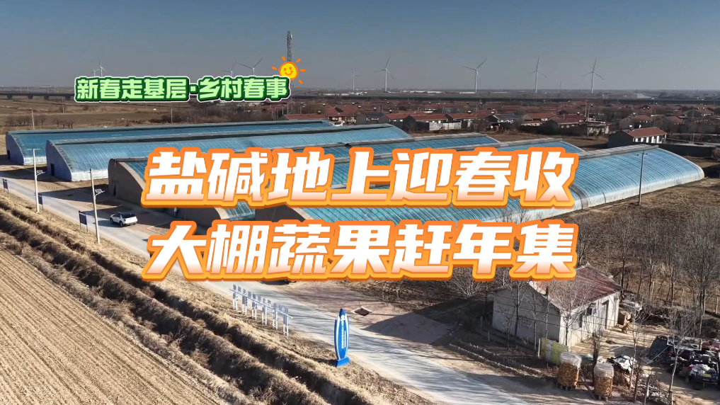 新春走基层·乡村春事丨盐碱地上迎春收 大棚蔬果赶年集